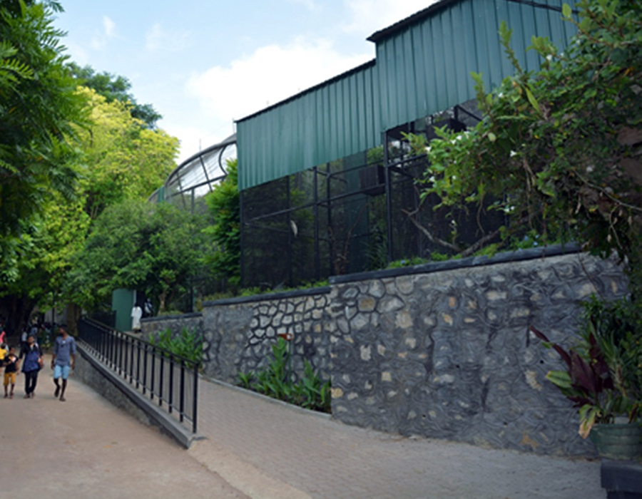 Renovation of Bird Aviary (Exotic) at Dehiwala zoo for Department of National Zoological Gardens